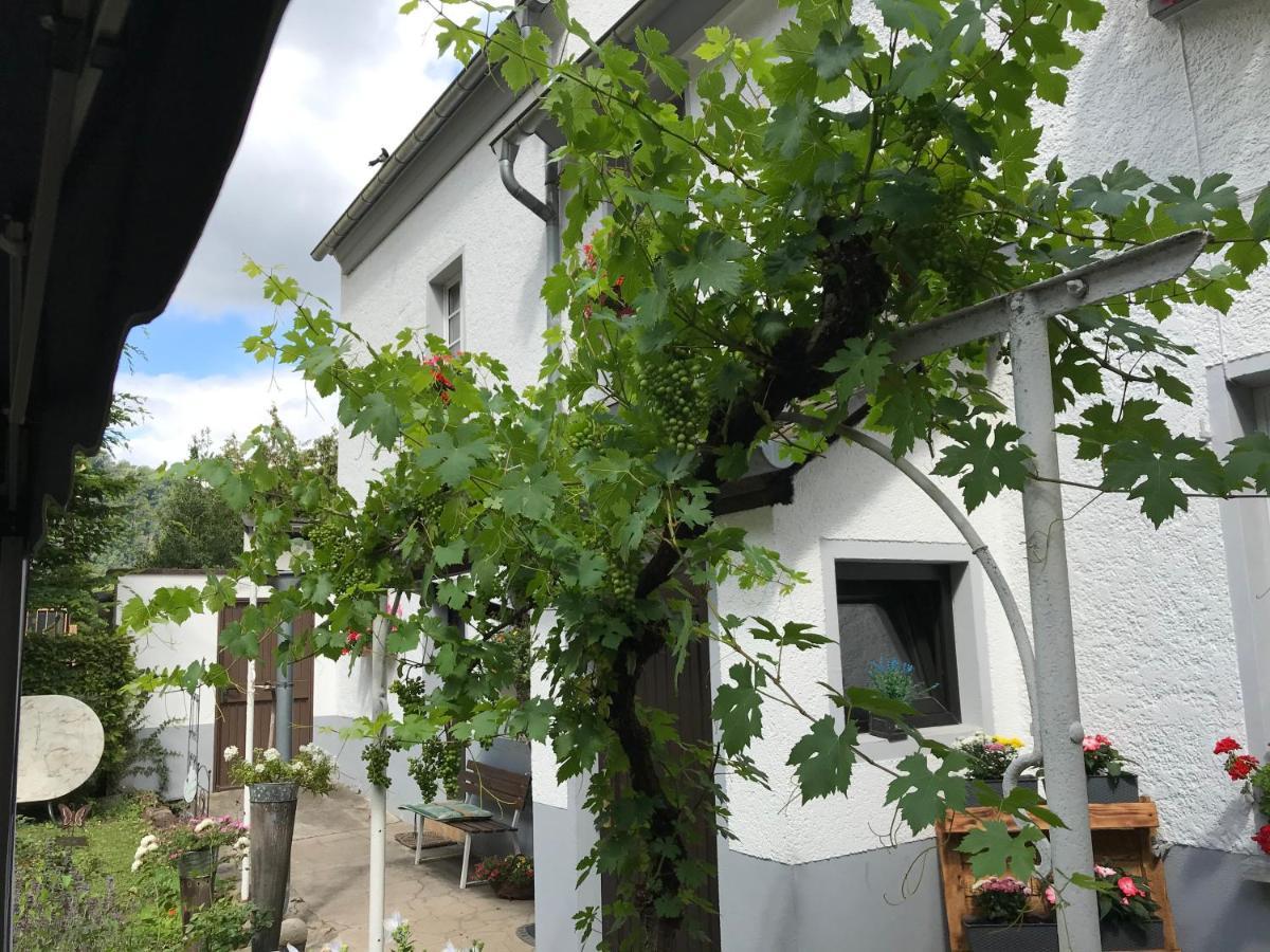 Ferienwohnung Lahnmündung Lahnstein Exterior foto