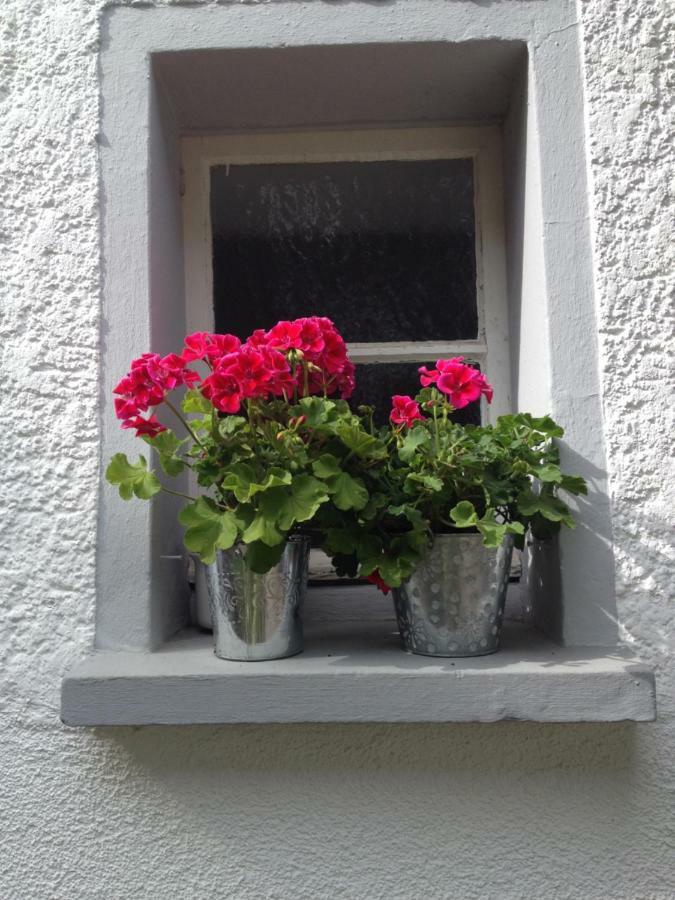 Ferienwohnung Lahnmündung Lahnstein Exterior foto